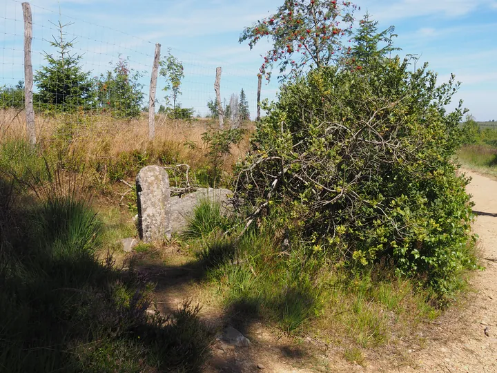 Signal de Botrange (Belgium)